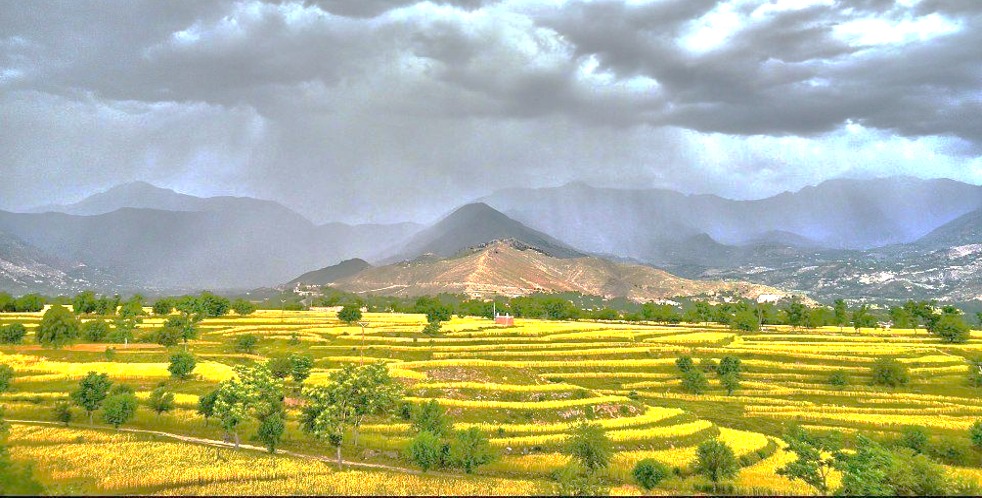 KP-RIISP project photo 42